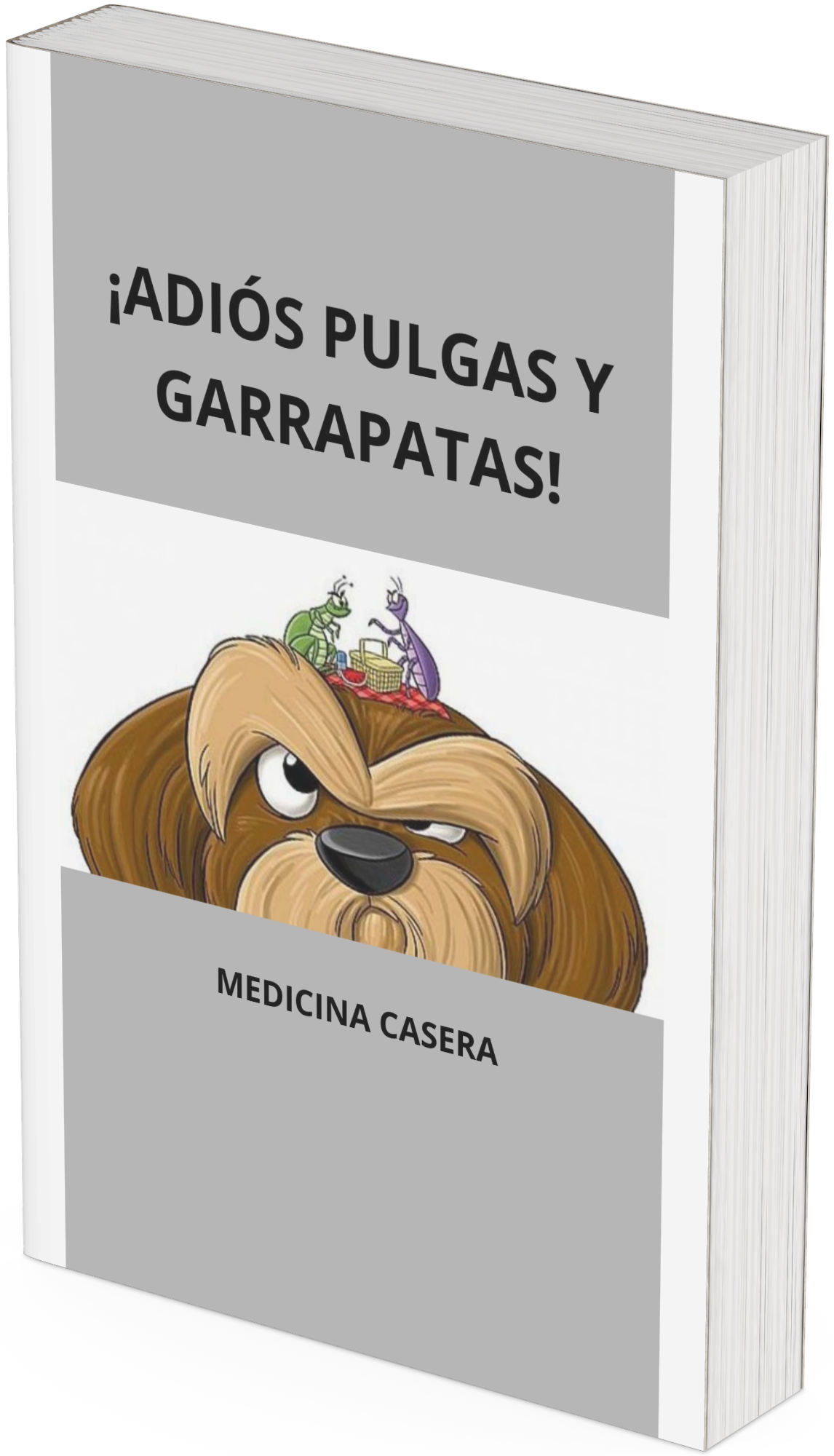 La Fórmula Definitiva